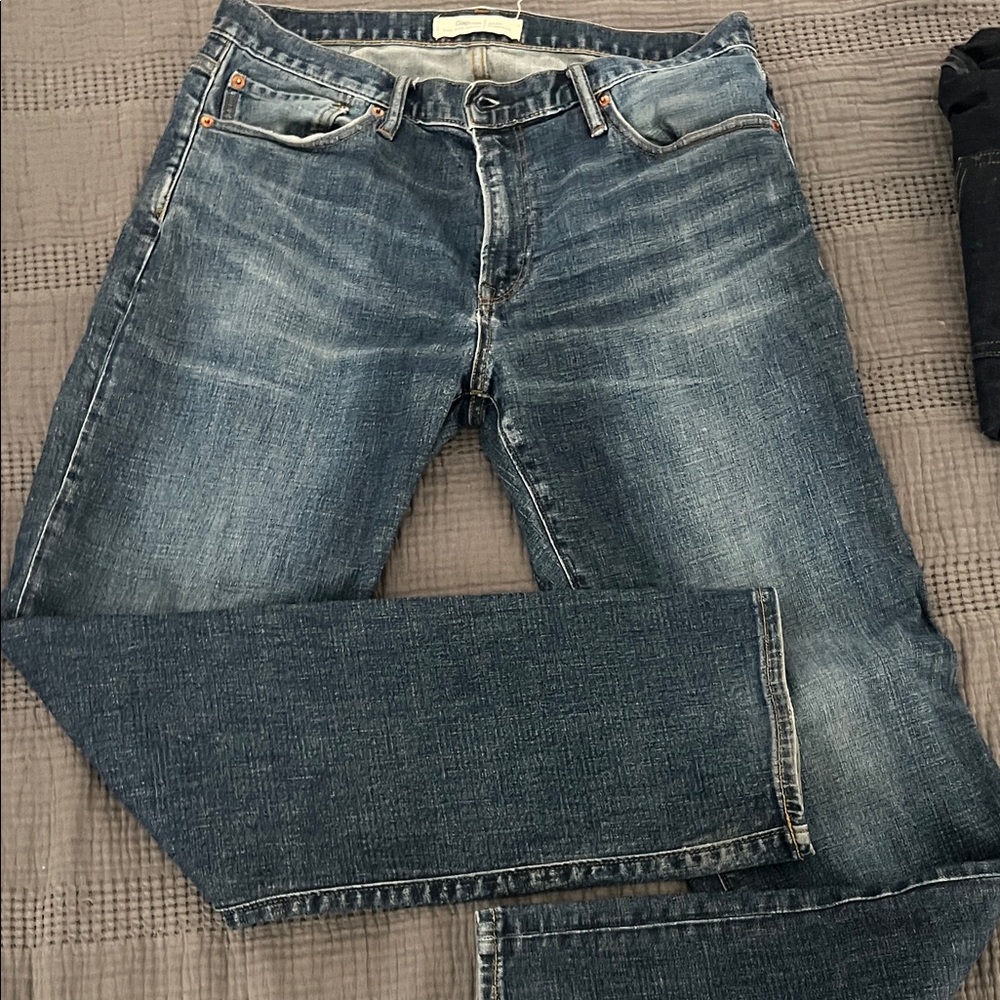 GAP Men's Denim Blue Straight Jeans